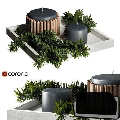 现代盆栽 植物-A1